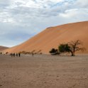 NAM HAR Dune45 2016NOV21 084 : 2016 - African Adventures, Hardap, Namibia, Southern, Africa, Dune 45, 2016, November